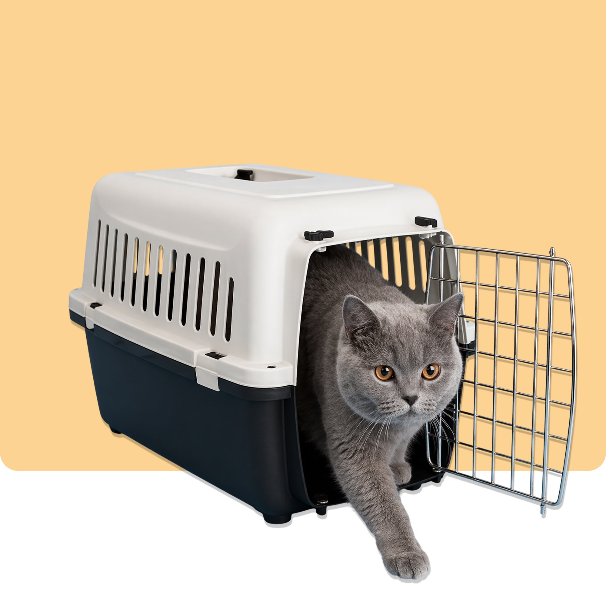 Pet Carriers