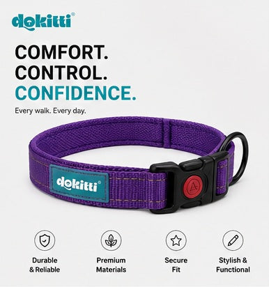 Mesh Padded Reflective Collar