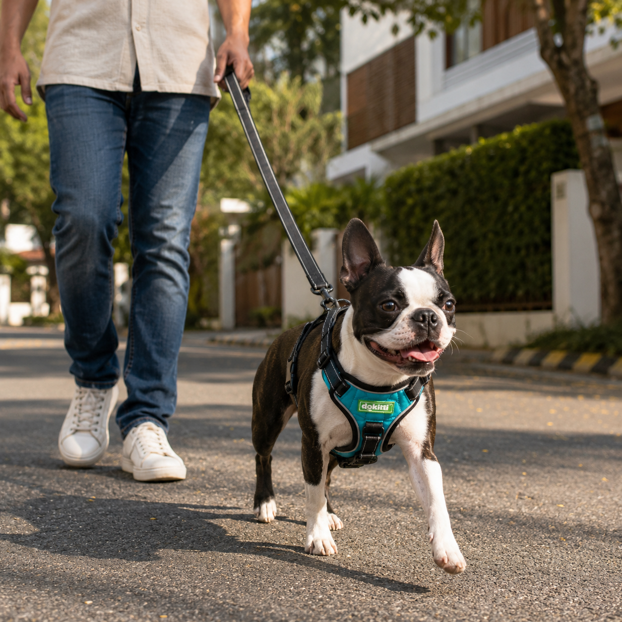 Guardpro Dog Harness with Padding