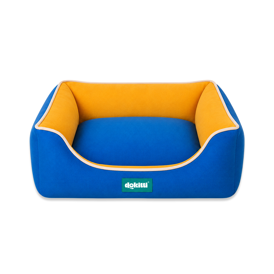 Blue Yellow Lounge Bed