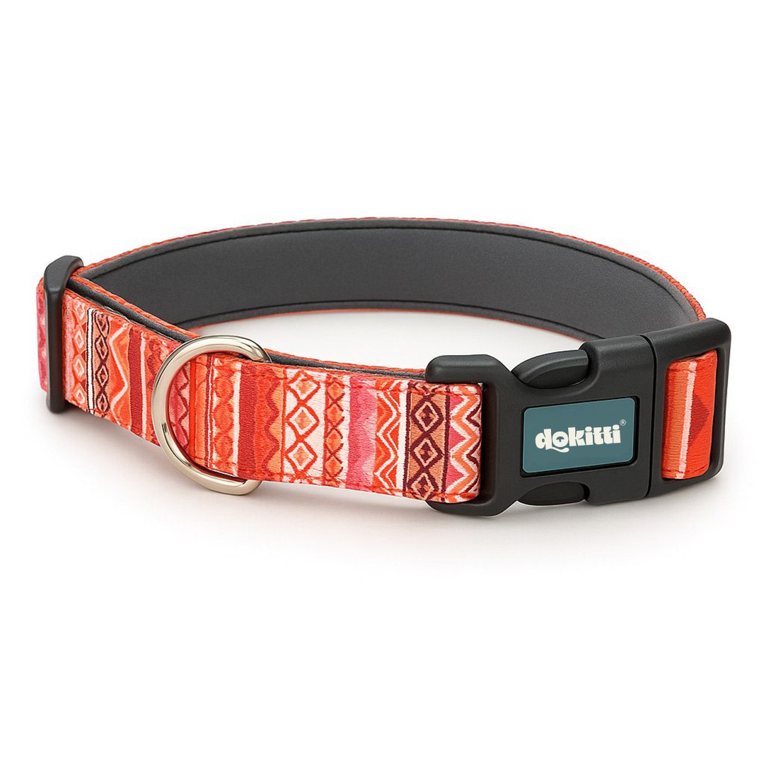Printed Collar With Neoprene Padding(Large)