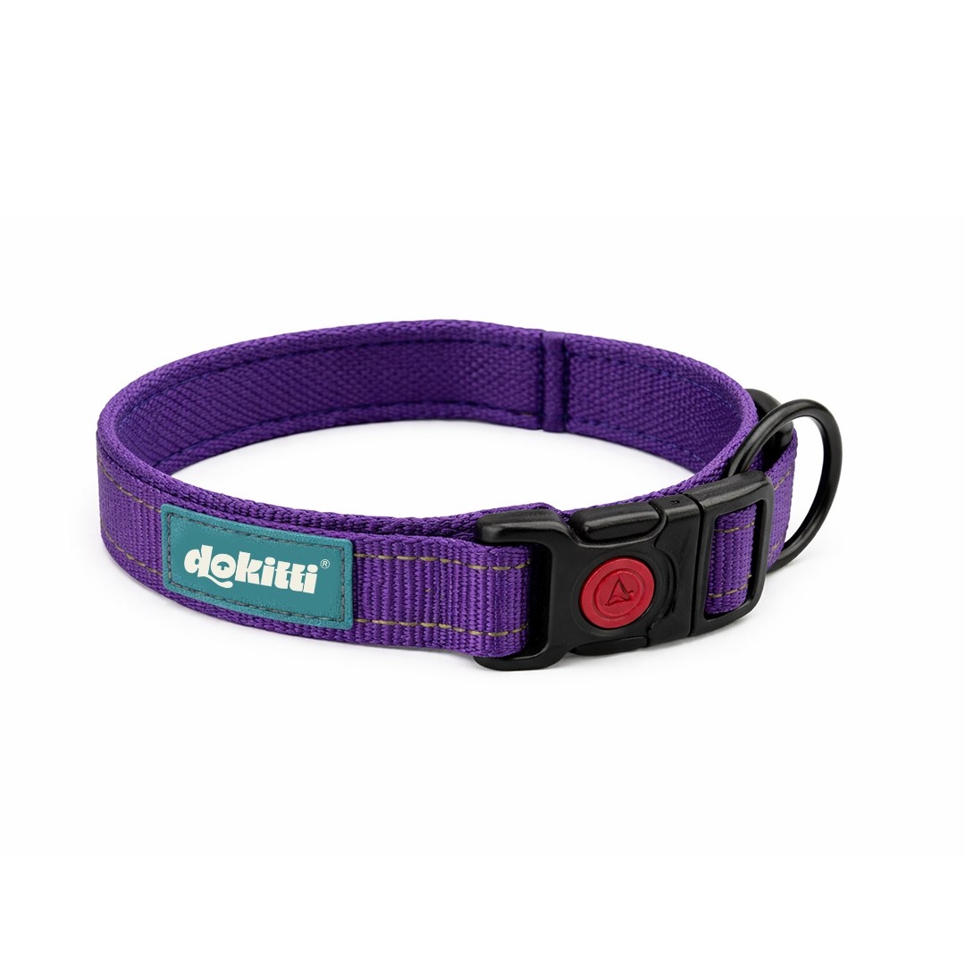 Mesh Padded Reflective Collar