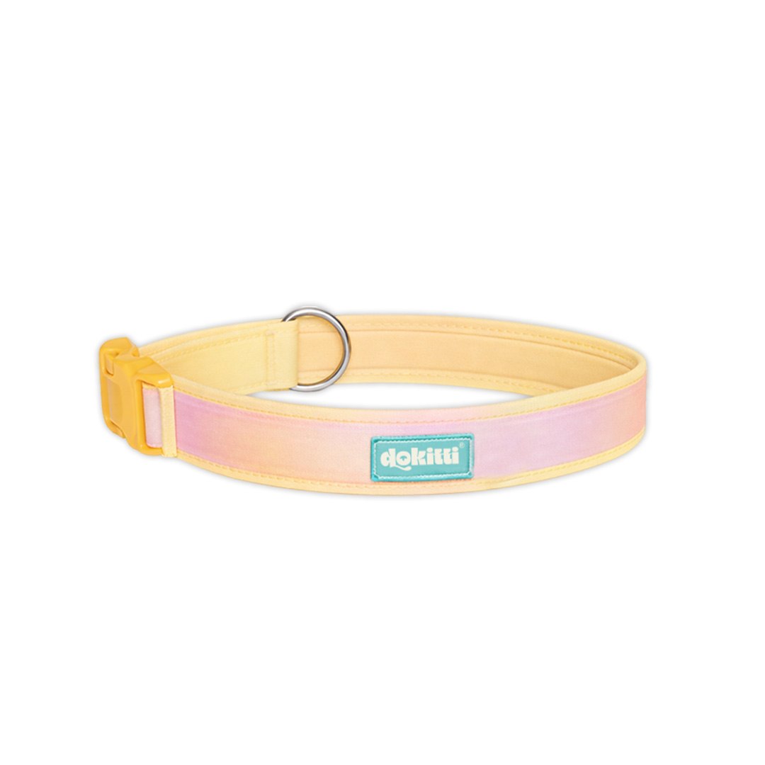 Pawsplash Soft Collar with Mesh Padding