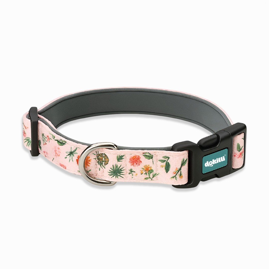 Printed Collar with Neoprene Padding (Medium)