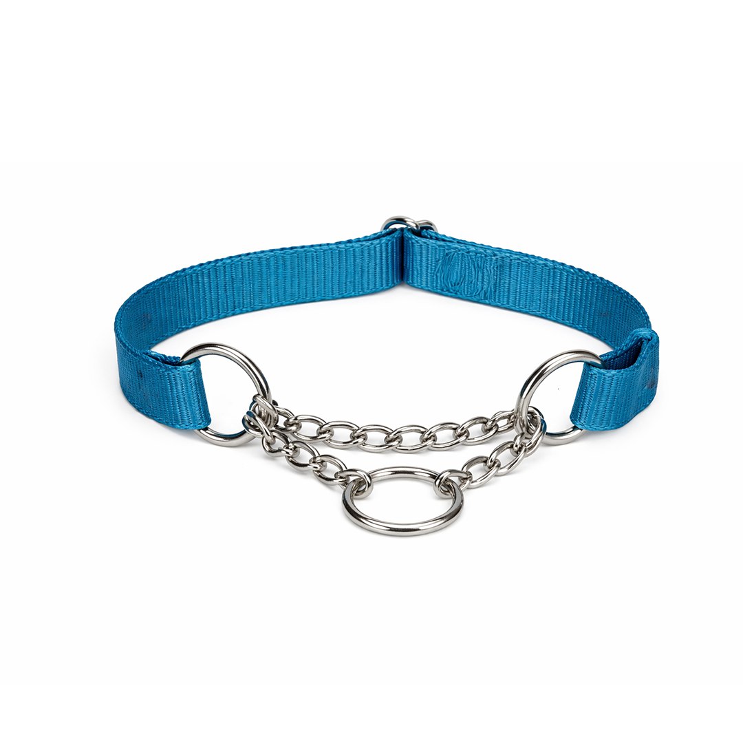 Martingale Collar(Blue)