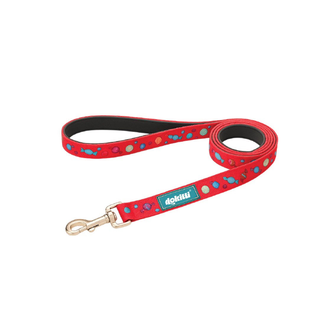 Printed Leash with Neoprene Padding (Small)