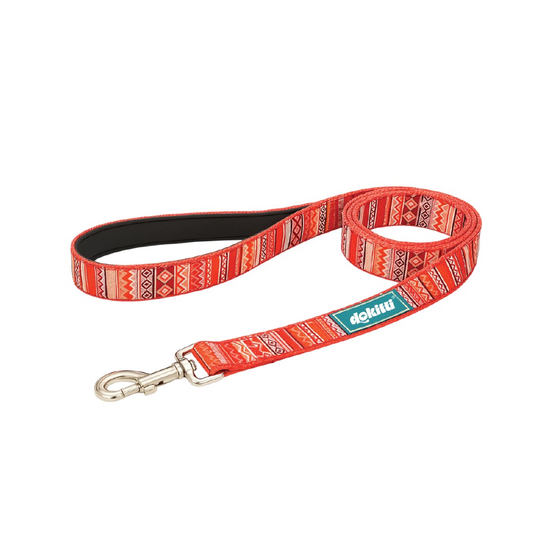 Printed Leash With Neoprene Padding(Large)