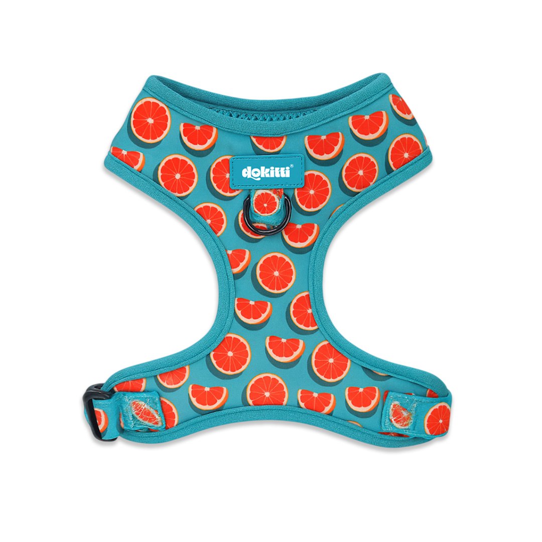 Fresh Slice Adjustable Harness
