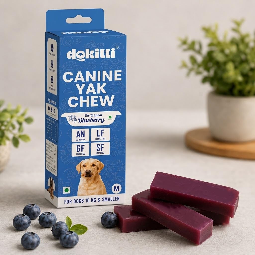 Dokitti Canine Yak Chew Blueberry Dog Treat, Medium