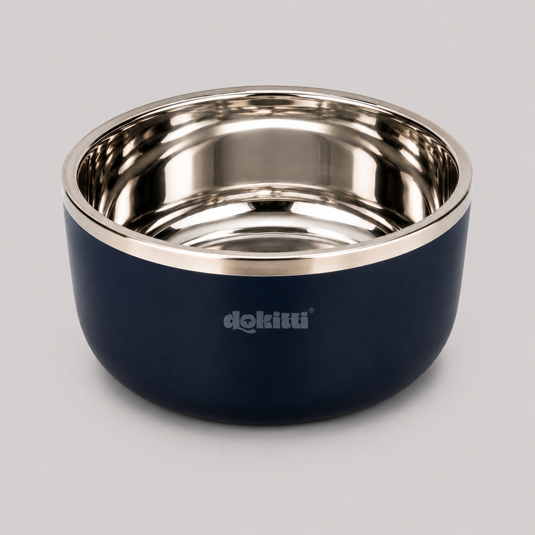 SS Double Wall Bowl- Blue