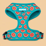  Adjustable Harness for dog