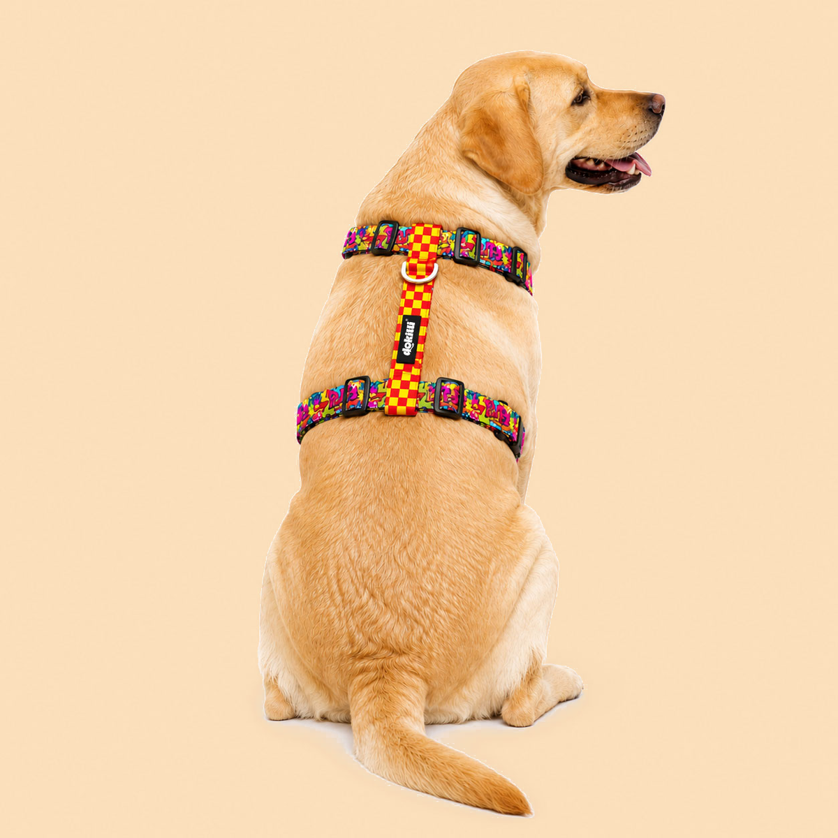 Dokitti Adjustable H-Harness for Dogs — Comic Pop Print